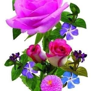 Meet your Posher, Bonita